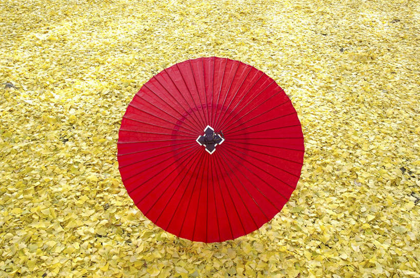 无人,横图,俯视,室内,白天,幸福,一把,阴影,条纹,围绕,光线,纹路,伞,影子,雨伞,纸伞,地面,古典,油纸伞,旋转,文化,排列,黄色,红色,阳光,纪念,吉祥,队列,古朴,平安,彩图,高角度拍摄