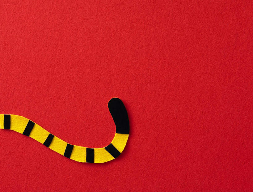 无人,横图,俯视,室内,白天,野生动物,玩具,一根,一排,红色背景,条纹,整齐,尾巴,线条,排列,黑色,动物,摄影,影棚,队列,凶猛,残暴,凶残,老虎,彩图,高角度拍摄,影棚拍摄,拍摄