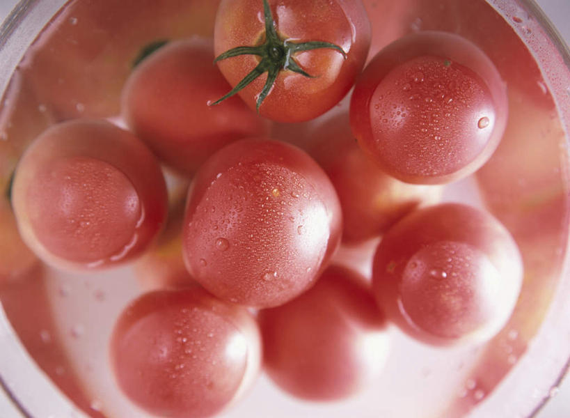 无人,横图,俯视,室内,白天,水,蔬菜,西红柿,餐具,阴影,新鲜,光线,碟子,盘,液体,影子,水滴,食品,食物,红色,绿色,阳光,盘子,碟,球体,有机食品,绿色食品,萼片,番茄,彩图,高角度拍摄