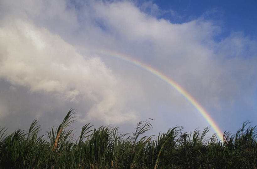 无人,横图,室外,白天,仰视,旅游,度假,彩虹,草地,草坪,岛屿,美景,植物,夏威夷,美国,阴影,光线,影子,景观,云,云朵,云彩,娱乐,草,蓝色,绿色,白云,蓝天,天空,阳光,自然,天,享受,休闲,景色,放松,北美,北美洲,自然风光,美洲,夏威夷岛,夏威夷州,爱洛哈之州,北亚美利加洲,亚美利加洲,大岛,列岛,群岛,诸岛,虹,虹桥,七彩虹,天虹,彩图,低角度拍摄