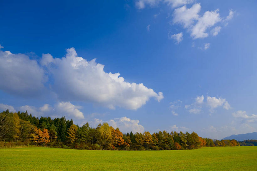 无人,横图,室外,白天,正面,旅游,度假,草地,草坪,美景,山,山脉,植物,日本,亚洲,阴影,光线,影子,景观,山峰,云,云朵,山峦,云彩,娱乐,草,树,树木,蓝色,绿色,白云,蓝天,天空,阳光,自然,群山,天,享受,休闲,景色,放松,生长,成长,自然风光,东亚,本州,本州岛,日本国,岩手,岩手县,东北地方,彩图