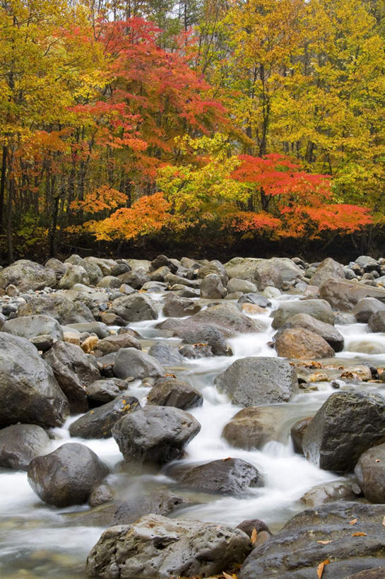 无人,竖图,室外,白天,正面,旅游,度假,草地,草坪,河流,礁石,石头,美景,山,山脉,水,植物,日本,亚洲,阴影,光线,石子,影子,河水,景观,山峰,水流,山峦,娱乐,草,树,树木,绿色,小溪,阳光,自然,群山,溪水,享受,休闲,景色,放松,生长,成长,自然风光,东亚,本州,本州岛,日本国,岩手,岩手县,东北地方,礁,石块,岩石,彩图