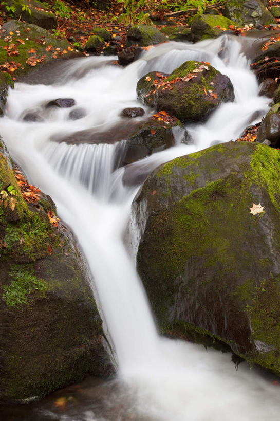 无人,竖图,俯视,室外,白天,旅游,度假,草地,草坪,河流,石头,美景,森林,树林,水,植物,日本,亚洲,朦胧,模糊,石子,河水,景观,水流,娱乐,草,树,树木,绿色,小溪,自然,溪水,享受,休闲,景色,放松,生长,成长,自然风光,东亚,本州,本州岛,日本国,青森,青森县,东北地方,奥入濑溪谷,十和田市,石块,岩石,彩图,高角度拍摄