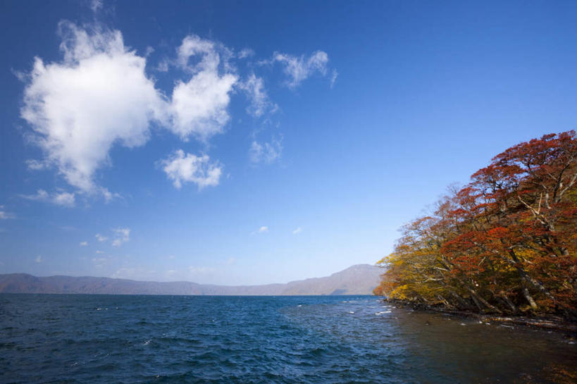 无人,横图,室外,白天,仰视,旅游,度假,湖,湖泊,美景,秋季,树林,水,植物,日本,亚洲,朦胧,模糊,湖面,景观,水流,水面,云,云朵,云彩,娱乐,树,树木,蓝色,绿色,白云,蓝天,天空,自然,湖水,天,享受,休闲,景色,放松,生长,晴朗,成长,自然风光,东亚,本州,本州岛,日本国,青森,青森县,东北地方,十和田市,晴空,秋,秋天,彩图,低角度拍摄