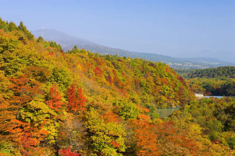 无人,横图,俯视,航拍,室外,白天,旅游,度假,美景,秋季,森林,山,山脉,树林,植物,日本,亚洲,阴影,朦胧,模糊,光线,影子,景观,山峰,云,云朵,山峦,云彩,娱乐,树,树木,蓝色,绿色,白云,蓝天,天空,阳光,自然,群山,天,享受,休闲,景色,放松,生长,晴朗,成长,鸟瞰,自然风光,东亚,本州,本州岛,日本国,岩手,岩手县,东北地方,晴空,秋,秋天,彩图,高角度拍摄