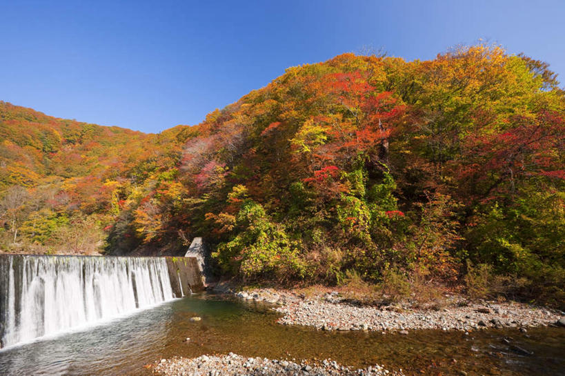 无人,横图,室外,白天,正面,旅游,度假,河流,美景,瀑布,秋季,树林,水,植物,叶子,日本,亚洲,飞溅,溅,液体,河水,景观,水滴,水流,枫叶,枯叶,落叶,娱乐,水珠,树,树木,黄色,红色,蓝色,绿色,蓝天,天空,自然,天,享受,休闲,景色,放松,生长,晴朗,成长,枫树叶,喷洒,自然风光,东亚,本州,万里无云,本州岛,日本国,青森,青森县,东北地方,叶,叶片,跌水,晴空,晴空万里,秋,秋天,彩图