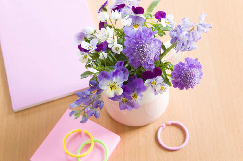 无人,横图,俯视,室内,特写,白天,快乐,桌子,花瓶,许多,装饰,盛开,木制,陶瓷,三色堇,记事本,陶瓷制品,花蕾,花,花瓣,花朵,鲜花,两朵,粉色,紫色,白色,本子,笔记本,木制品,瓶子,蝴蝶花,花苞,花蕊,沉思,两本,华丽,修饰,点缀,轮峰菊,山萝卜,衬托,美观,雅致,雅观,三色堇菜,人面花,猫脸花,阳蝶花,鬼脸花,猫儿脸,思念,松虫草,紫盆花,彩图,高角度拍摄