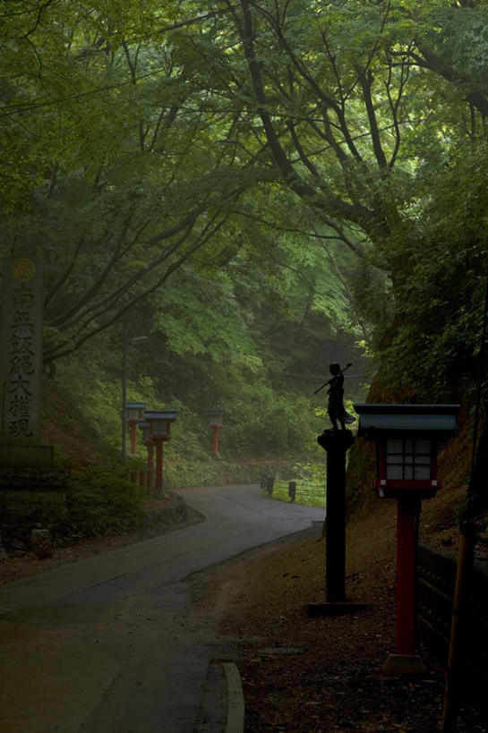 无人,竖图,室外,白天,正面,旅游,度假,美景,植物,道路,路,东京,日本,亚洲,景观,小路,交通,娱乐,树,树木,绿色,自然,享受,休闲,景色,放松,生长,成长,自然风光,东亚,本州,关东地方,本州岛,日本国,东京都,彩图