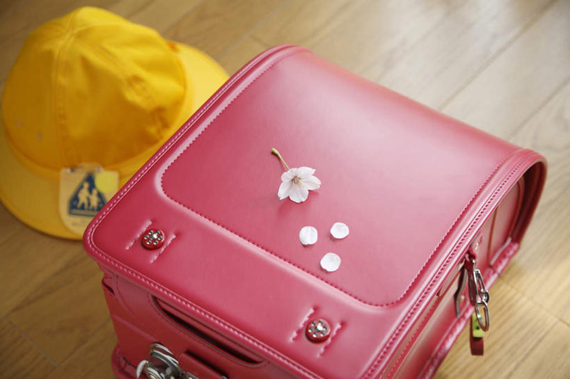 无人,横图,俯视,室内,白天,地板,樱花,帽子,金属制品,盛开,金属,包,挂牌,书包,别针,地面,一枚,花蕾,木地板,花,花瓣,花朵,鲜花,一朵,一个,红色,白色,背包,遮阳帽,花苞,花蕊,单个,仙樱花,福岛樱,青肤樱,荆桃,彩图,高角度拍摄,双肩包