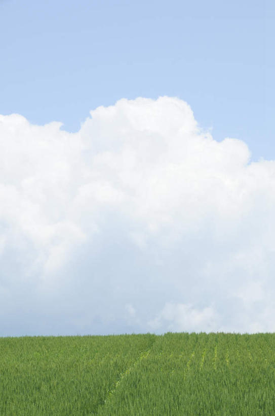 无人,农田,竖图,室外,白天,正面,旅游,度假,庄稼,农作物,美景,长野县,日本,亚洲,朦胧,模糊,地平线,景观,云,云朵,辽阔,地面,云彩,娱乐,蓝色,白云,蓝天,天空,自然,天,享受,休闲,景色,放松,晴朗,一望无际,自然风光,延伸,东亚,本州,本州岛,日本国,中部地方,天地相交,长野,诹访市,晴空,彩图,耕地,庄稼田