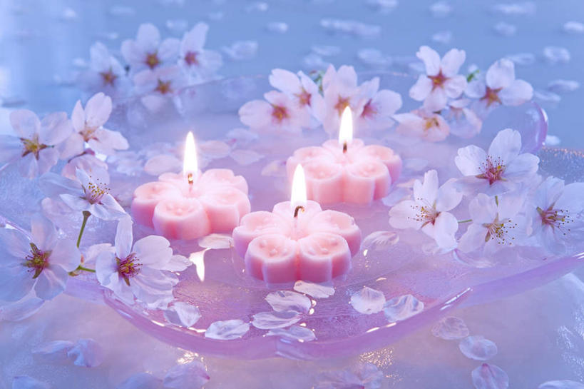 无人,横图,俯视,室内,特写,白天,水,樱花,静物,蜡烛,一排,许多,阴影,朦胧,模糊,整齐,环绕,盛开,围绕,反射,火焰,液体,影子,烛光,水滴,燃烧,花蕾,花,花瓣,花朵,鲜花,排列,三个,白色,花苞,花蕊,点燃,队列,仙樱花,福岛樱,青肤樱,荆桃,彩图,高角度拍摄