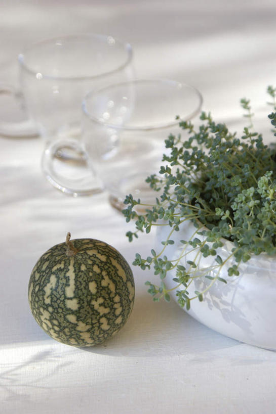 无人,竖图,俯视,室内,白天,植物,西瓜,杯子,水果,阴影,朦胧,模糊,新鲜,光线,盆栽,影子,生食,食品,果实,盆景,两杯,玻璃制品,食物,一个,绿色,阳光,自然,水杯,摄影,有机食品,绿色食品,影棚,生长,单个,成长,玻璃杯,寒瓜,彩图,高角度拍摄,影棚拍摄,拍摄