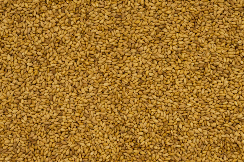 无人,横图,俯视,室内,特写,白天,一堆,许多,堆叠,堆积,芝麻,摄影,影棚,堆,脂麻,胡麻,白麻,巨胜子,油麻,彩图,高角度拍摄,影棚拍摄,拍摄