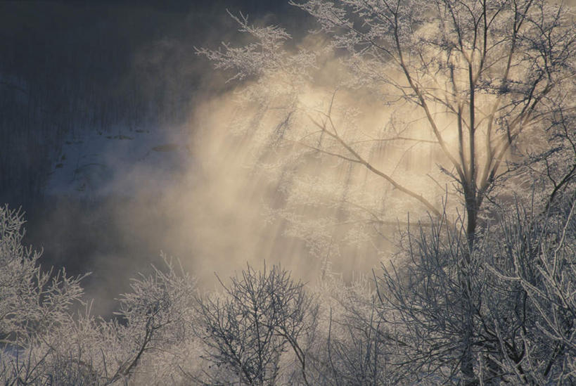 无人,横图,室外,白天,正面,旅游,度假,美景,森林,树林,雪,植物,雾,大雪,北海道,日本,亚洲,朦胧,模糊,积雪,景观,雪景,冬季,冬天,娱乐,树,树木,绿色,自然,享受,休闲,景色,放松,寒冷,生长,成长,迷雾,自然风光,雾凇,东亚,日本国,北海道地方,北海道岛,严寒,大雾,彩图