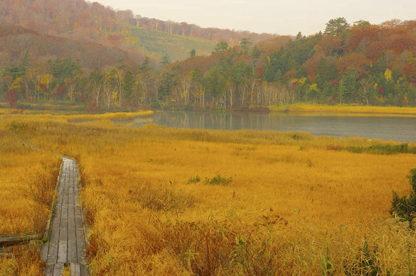 无人,横图,室外,白天,正面,旅游,草地,草坪,河流,美景,秋季,山,山脉,树林,水,植物,日本,亚洲,朦胧,模糊,河水,景观,山峰,水流,山峦,草,树,树木,绿色,自然,群山,景色,生长,成长,自然风光,东亚,本州,本州岛,日本国,东北地方,福岛,福岛县,秋,秋天,彩图,游览