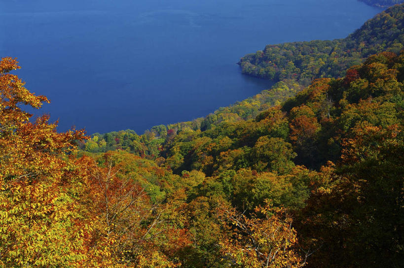 无人,横图,俯视,航拍,室外,白天,旅游,海浪,海洋,美景,森林,山,山脉,树林,植物,日本,亚洲,阴影,朦胧,模糊,光线,影子,景观,浪花,山峰,山峦,树,树木,绿色,阳光,自然,海水,群山,景色,生长,成长,鸟瞰,自然风光,海景,东亚,本州,本州岛,日本国,青森,青森县,东北地方,十和田市,十和田,大海,风浪,海,海水的波动,近岸浪,涌浪,彩图,高角度拍摄,游览
