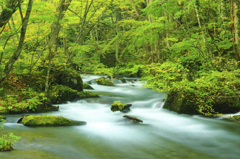 无人,横图,室外,白天,正面,旅游,草地,草坪,河流,礁石,石头,美景,树林,水,植物,日本,亚洲,朦胧,模糊,石子,河水,景观,水流,草,树,树木,绿色,自然,景色,生长,成长,自然风光,东亚,本州,本州岛,日本国,青森,青森县,东北地方,十和田市,十和田,礁,石块,岩石,彩图,游览