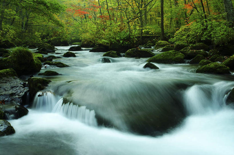 无人,横图,室外,白天,正面,旅游,河流,礁石,石头,美景,森林,树林,水,植物,日本,亚洲,朦胧,模糊,石子,河水,景观,水流,树,树木,绿色,小溪,自然,溪水,景色,生长,成长,自然风光,东亚,本州,本州岛,日本国,青森,青森县,东北地方,十和田市,十和田,礁,石块,岩石,彩图,游览