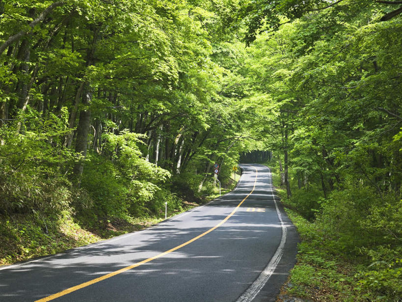 无人,横图,俯视,室外,白天,旅游,度假,草地,草坪,美景,森林,山,山脉,树林,植物,道路,路,日本,亚洲,阴影,光线,影子,景观,山峰,小路,分界线,停车线,交通,山峦,娱乐,草,树,树木,黄色,绿色,阳光,自然,群山,享受,休闲,景色,放松,乡间小路,生长,成长,车行道,车行道分界线,自然风光,标线,东亚,车行线,本州,本州岛,日本国,中国地方,鸟取,鸟取县,彩图,高角度拍摄