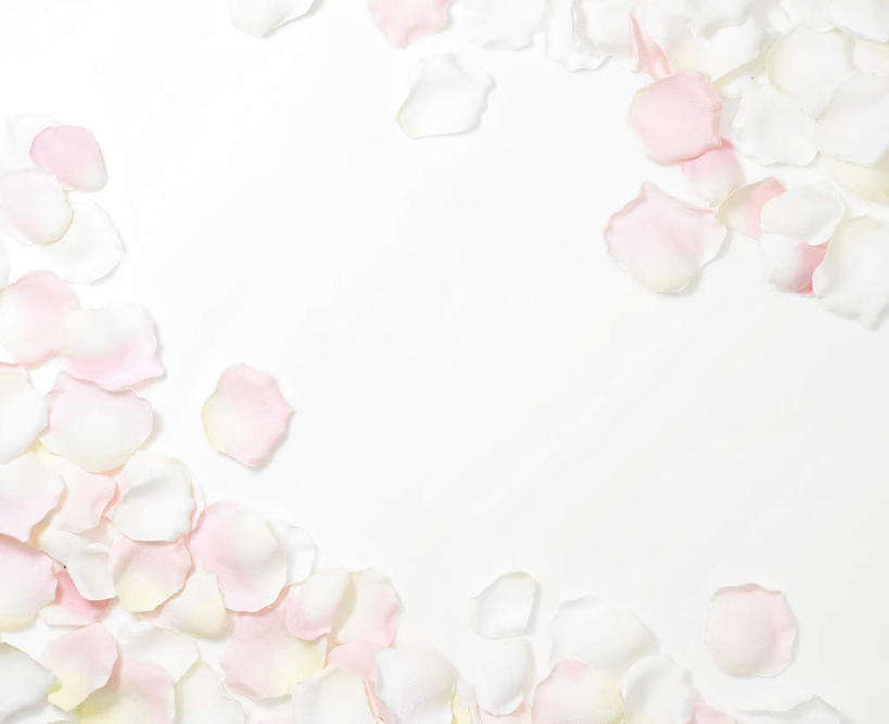 无人,横图,俯视,室内,白天,白色背景,爱情,幸福,纯洁,热情,桌面,桌子,玫瑰,许多,堆叠,木制,玫瑰花,浪漫,花瓣,粉色,木制品,温暖,温馨,恩爱,摄影,影棚,堆,和睦,感动,尊敬,天真,刺玫花,徘徊花,彩图,高角度拍摄,影棚拍摄,拍摄,融洽