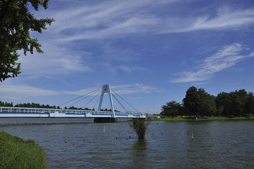 无人,横图,室外,白天,正面,旅游,度假,湖,湖泊,美景,水,植物,大桥,立交桥,桥梁,东京,日本,亚洲,波纹,湖面,景观,水流,水面,云,云朵,高架,斜拉桥,桥,涟漪,云彩,娱乐,树,树木,蓝色,绿色,白云,蓝天,水纹,天空,自然,波浪,湖水,天,享受,休闲,景色,放松,生长,晴朗,成长,自然风光,东亚,本州,关东地方,本州岛,日本国,东京都,水晕,水元公园,葛饰区,晴空,彩图