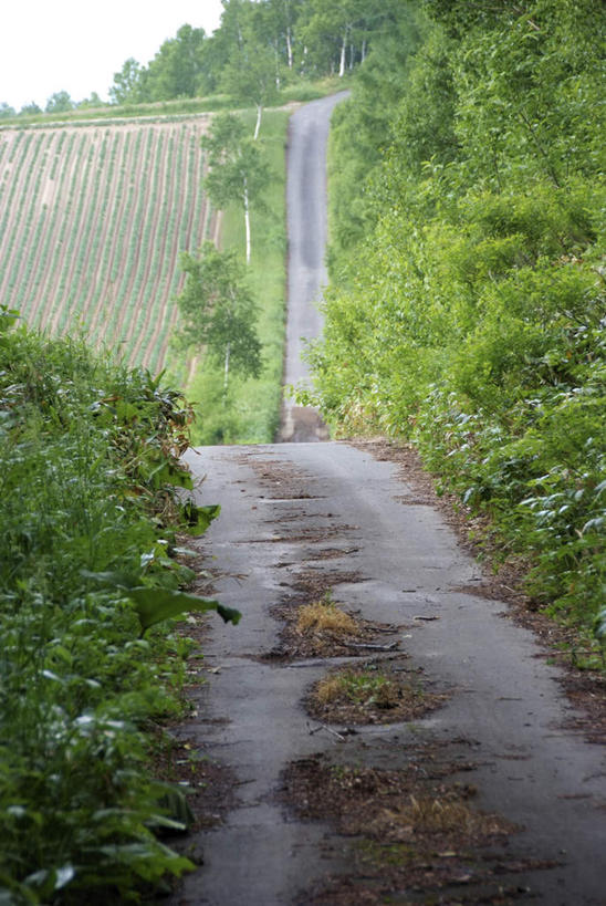 无人,竖图,室外,白天,正面,旅游,度假,草地,草坪,美景,植物,道路,路,中国,亚洲,阴影,弯曲,光线,影子,景观,云,云朵,小路,交通,云彩,娱乐,草,树,树木,蓝色,绿色,白云,蓝天,天空,阳光,自然,天,享受,休闲,景色,放松,乡间小路,生长,成长,广西,自然风光,东亚,北海,广西壮族自治区,中华人民共和国,桂,华南地区,北海市,彩图