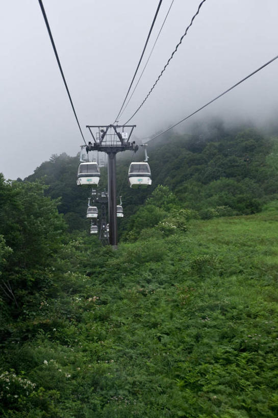 无人,竖图,室外,白天,仰视,旅游,度假,草地,草坪,美景,森林,山,山脉,树林,植物,雾,游览车,长野县,日本,亚洲,一辆,朦胧,模糊,景观,山峰,山峦,娱乐,缆车,草,树,树木,绿色,自然,绳子,群山,享受,休闲,景色,放松,生长,成长,绳索,迷雾,自然风光,缆绳,东亚,本州,本州岛,日本国,中部地方,长野,大雾,彩图,低角度拍摄