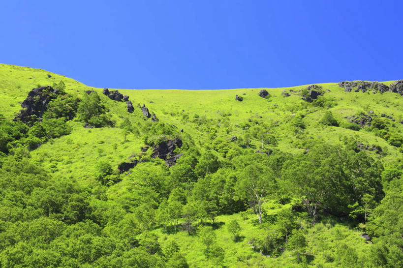 无人,横图,室外,白天,正面,旅游,度假,草地,草坪,石头,美景,山,山脉,植物,长野县,日本,亚洲,阴影,光线,石子,影子,景观,山峰,山峦,娱乐,草,树,树木,蓝色,绿色,蓝天,天空,阳光,自然,群山,天,享受,休闲,景色,放松,生长,晴朗,成长,自然风光,东亚,本州,万里无云,本州岛,日本国,中部地方,长野,石块,晴空,晴空万里,彩图