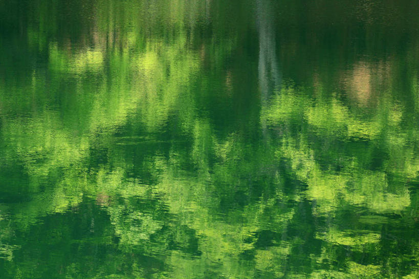 无人,横图,俯视,室外,白天,旅游,度假,河流,美景,水,植物,长野县,日本,亚洲,阴影,光线,影子,河水,景观,水流,娱乐,树,树木,绿色,阳光,自然,享受,休闲,景色,放松,生长,成长,自然风光,东亚,本州,本州岛,日本国,中部地方,长野,彩图,高角度拍摄