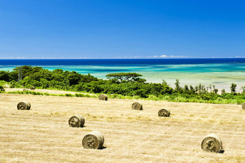无人,横图,俯视,室外,白天,旅游,度假,草地,草坪,海浪,海洋,美景,沙滩,植物,日本,亚洲,许多,阴影,光线,沙子,影子,海岸,景观,浪花,水平线,云,云朵,辽阔,海平线,沙地,云彩,娱乐,冲绳,草,树,树木,蓝色,绿色,白云,蓝天,天空,阳光,自然,海水,草垛,天,享受,休闲,广阔,景色,放松,生长,成长,一望无际,冲绳县,自然风光,海景,东亚,琉球群岛,日本国,九州地方,圆柱形,无边无际,一马平川,大海,风浪,海,海水的波动,海滩,近岸浪,涌浪,彩图,高角度拍摄,水天相接,水天一线
