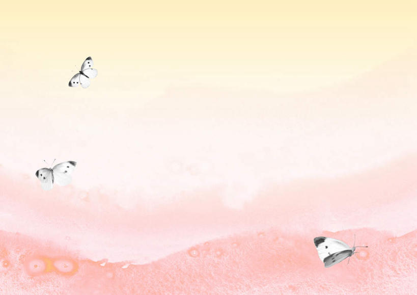 无人,横图,俯视,室内,白天,旅游,度假,美景,蝴蝶,飞翔,粉色背景,昆虫,景观,娱乐,三个,白色,自然,动物,享受,休闲,景色,放松,自然风光,益虫,彩图,高角度拍摄