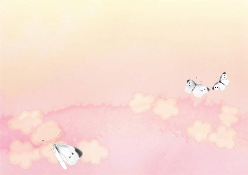 无人,横图,俯视,室内,白天,旅游,度假,美景,蝴蝶,飞翔,粉色背景,昆虫,景观,娱乐,三个,白色,自然,动物,享受,休闲,景色,放松,自然风光,益虫,彩图,高角度拍摄