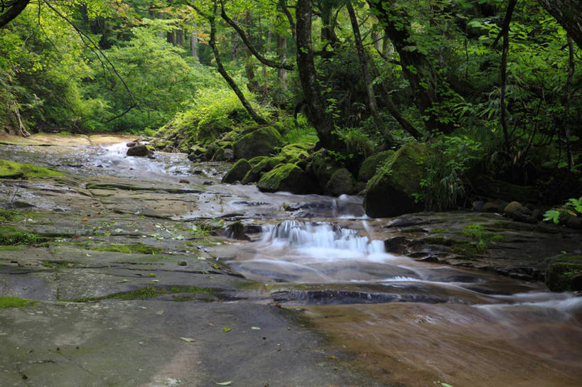 无人,横图,俯视,室外,白天,旅游,度假,河流,美景,瀑布,树林,水,植物,富山县,日本,亚洲,许多,阴影,飞溅,溅,光线,液体,影子,河水,景观,水滴,水流,娱乐,水珠,树,树木,绿色,小溪,阳光,自然,溪水,享受,休闲,景色,放松,生长,成长,喷洒,自然风光,东亚,本州,本州岛,日本国,中部地方,富山,跌水,彩图,高角度拍摄