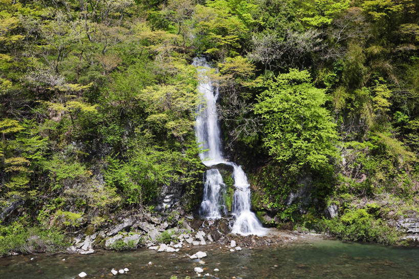 无人,横图,室外,白天,正面,旅游,度假,河流,美景,瀑布,山,树林,水,植物,富山县,日本,亚洲,许多,飞溅,溅,液体,河水,景观,山峰,水滴,水流,山峦,娱乐,水珠,树,树木,绿色,小溪,自然,溪水,享受,休闲,景色,放松,生长,成长,喷洒,自然风光,东亚,本州,本州岛,日本国,中部地方,富山,跌水,彩图