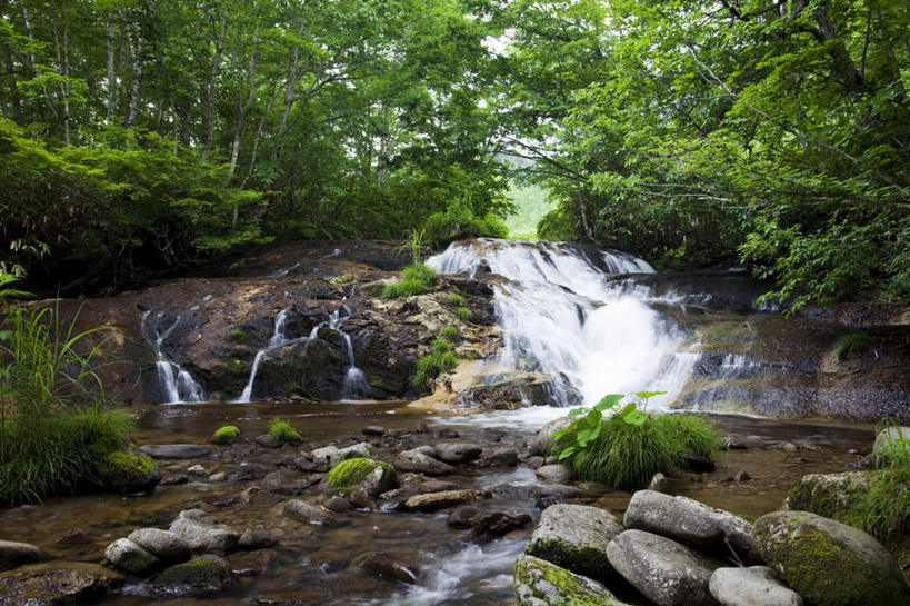 无人,横图,室外,白天,正面,旅游,度假,河流,石头,美景,瀑布,山,树林,水,植物,富山县,日本,亚洲,许多,飞溅,溅,石子,液体,河水,景观,山峰,水滴,水流,山峦,娱乐,水珠,树,树木,绿色,小溪,自然,溪水,享受,休闲,景色,放松,生长,成长,喷洒,自然风光,东亚,本州,本州岛,日本国,中部地方,富山,跌水,石块,岩石,彩图