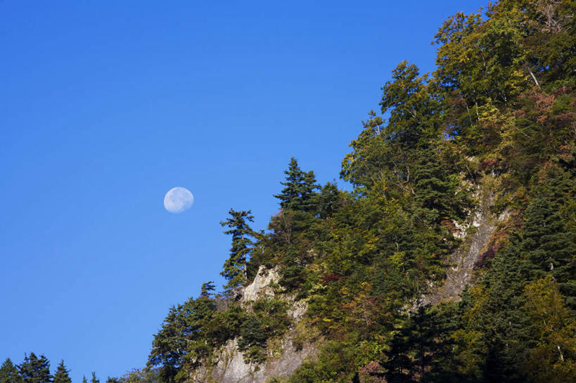 无人,横图,室外,白天,仰视,旅游,度假,美景,山,树林,植物,日本,亚洲,许多,景观,山峰,悬崖,月亮,山峦,月光,娱乐,树,树木,一个,蓝色,绿色,蓝天,天空,自然,山崖,天,享受,休闲,景色,放松,生长,晴朗,单个,成长,明亮,自然风光,东亚,本州,万里无云,本州岛,日本国,石川,石川县,中部地方,皎洁,晴空,晴空万里,彩图,低角度拍摄
