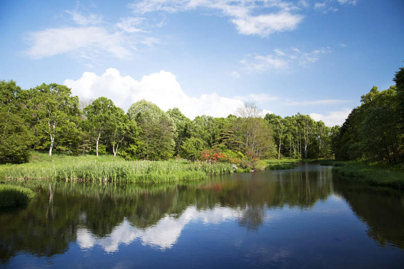 无人,横图,室外,白天,正面,旅游,度假,河流,美景,树林,水,植物,长野县,日本,亚洲,许多,阴影,光线,影子,河水,景观,水流,云,云朵,云彩,娱乐,树,树木,蓝色,绿色,白云,蓝天,天空,阳光,自然,天,享受,休闲,景色,放松,生长,晴朗,成长,自然风光,东亚,本州,本州岛,日本国,中部地方,长野,晴空,彩图