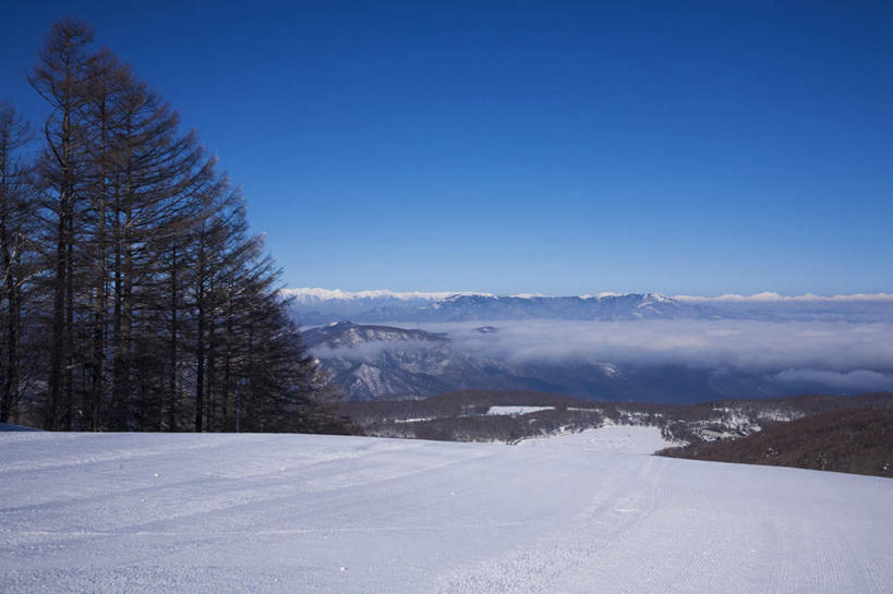 无人,横图,俯视,室外,白天,旅游,度假,美景,山,树林,雪,植物,大雪,富山县,日本,亚洲,许多,地平线,积雪,景观,山峰,雪景,云,云朵,冬季,冬天,辽阔,地面,山峦,云彩,娱乐,树,树木,蓝色,绿色,白云,蓝天,天空,自然,天,享受,休闲,广阔,景色,放松,寒冷,生长,晴朗,成长,一望无际,自然风光,延伸,东亚,本州,本州岛,日本国,中部地方,天地相交,严寒,富山,无边无际,一马平川,晴空,彩图,高角度拍摄