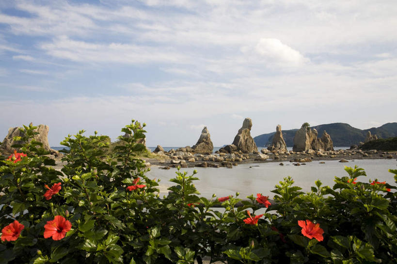 无人,横图,室外,白天,仰视,旅游,度假,花海,花圃,河流,石头,美景,山,树林,水,植物,叶子,日本,亚洲,许多,盛开,石子,河水,景观,山峰,水流,云,云朵,绿叶,山峦,花蕾,云彩,娱乐,花,花瓣,花朵,花卉,鲜花,树,树木,红色,蓝色,绿色,白云,蓝天,天空,自然,花丛,花田,天,花苞,花蕊,享受,休闲,嫩叶,景色,放松,生长,晴朗,成长,自然风光,东亚,本州,本州岛,日本国,近畿地方,近畿,和歌山,和歌山县,叶,叶片,石块,岩石,晴空,彩图,低角度拍摄,大红花,佛桑,扶桑,日及,朱槿