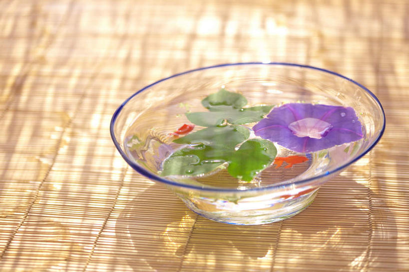 游泳,无人,横图,俯视,室内,特写,白天,爱情,水,植物,喇叭花,叶子,两条,阴影,朦胧,模糊,盛开,光线,金鱼,鱼,液体,影子,水滴,绿叶,鱼缸,鱼类,花,花瓣,花朵,花卉,鲜花,一朵,紫色,阳光,垫子,花蕊,嫩叶,虚幻,永恒,牵牛,牵牛子,勤娘子,碧冬茄,朝颜花,灵芝牡丹,观赏鱼,金鲫鱼,冷静,泅水,牵牛花,叶,叶片,彩图,高角度拍摄