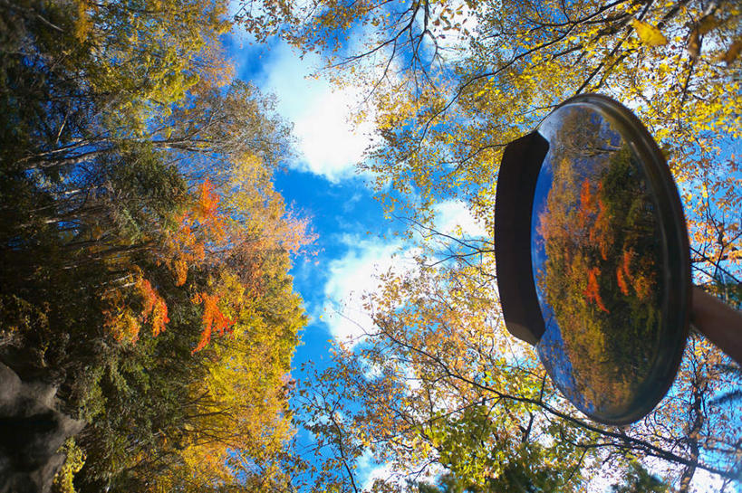 无人,横图,室外,白天,仰视,旅游,度假,安全,美景,秋季,树林,植物,镜子,神奈川,日本,亚洲,许多,反射,景观,云,云朵,反光镜,交通,神奈川县,云彩,娱乐,树,树木,一个,蓝色,绿色,白云,蓝天,天空,自然,天,享受,休闲,景色,放松,生长,晴朗,单个,成长,镜像,生命,镜面,自然风光,东亚,本州,关东地方,本州岛,日本国,光学,凸面镜,晴空,秋,秋天,彩图,低角度拍摄,广角镜