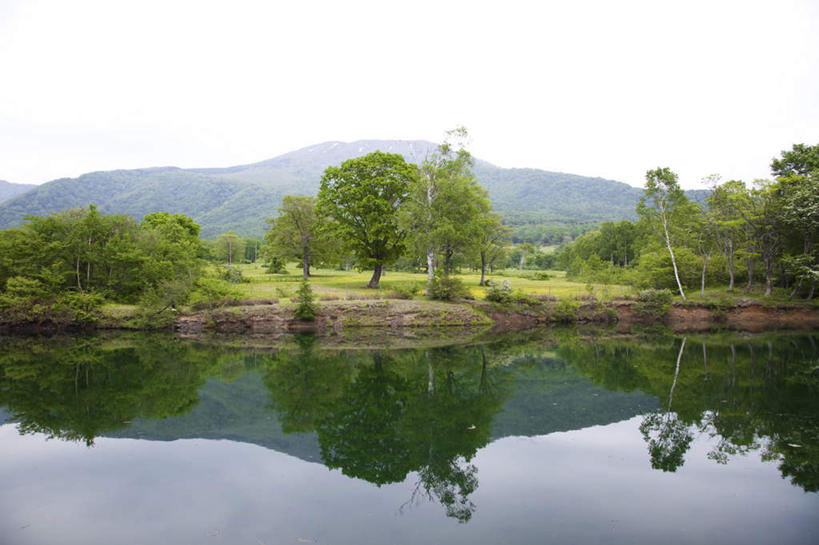 无人,横图,室外,白天,仰视,旅游,度假,河流,美景,山,树林,水,植物,日本,亚洲,许多,阴影,光线,影子,河水,景观,山峰,水流,山峦,娱乐,树,树木,蓝色,绿色,蓝天,天空,阳光,自然,天,享受,休闲,景色,放松,生长,晴朗,成长,自然风光,东亚,本州,万里无云,本州岛,日本国,中部地方,新潟,新潟县,晴空,晴空万里,彩图,低角度拍摄