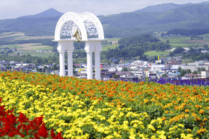 无人,家,横图,俯视,室外,白天,爱情,旅游,度假,花海,花圃,美景,山,山脉,树林,植物,叶子,北海道,日本,亚洲,许多,朦胧,模糊,盛开,铃铛,柱子,房屋,屋子,景观,山峰,绿叶,山峦,浪漫,花蕾,娱乐,楼房,住宅,花,花瓣,花朵,花卉,鲜花,树,树木,蓝色,绿色,蓝天,天空,自然,香草,花丛,花田,群山,天,花苞,花蕊,薰衣草,油菜花,享受,休闲,嫩叶,景色,放松,恋爱,生长,晴朗,成长,一串红,自然风光,呼吸,东亚,万里无云,日本国,北海道地方,北海道岛,爆仗红,灵香草,黄香草,上富良野町,炮仗红,奇迹,叶,叶片,晴空,晴空万里,彩图,高角度拍摄,房子,芸苔,芸薹