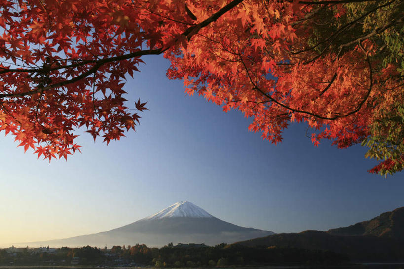 无人,横图,室外,白天,仰视,旅游,度假,美景,山,山脉,树林,雪,植物,大雪,叶子,日本,亚洲,许多,阴影,光线,影子,积雪,景观,山峰,雪景,冬季,冬天,枫叶,枯叶,落叶,山峦,娱乐,树,树木,黄色,红色,蓝色,绿色,蓝天,天空,阳光,自然,群山,天,享受,休闲,景色,放松,寒冷,生长,晴朗,成长,枫树叶,自然风光,东亚,本州,万里无云,本州岛,日本国,中部地方,山梨,山梨县,严寒,叶,叶片,晴空,晴空万里,彩图,低角度拍摄