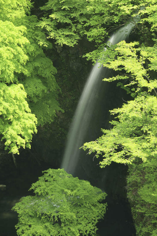 无人,竖图,俯视,室外,白天,旅游,度假,美景,瀑布,山,树林,水,植物,日本,亚洲,许多,阴影,飞溅,朦胧,模糊,溅,光线,液体,影子,景观,山峰,水滴,悬崖,山峦,娱乐,水珠,树,树木,绿色,阳光,自然,享受,休闲,景色,放松,生长,成长,喷洒,自然风光,东亚,本州,本州岛,日本国,中部地方,新潟,新潟县,绝壁,跌水,彩图,高角度拍摄