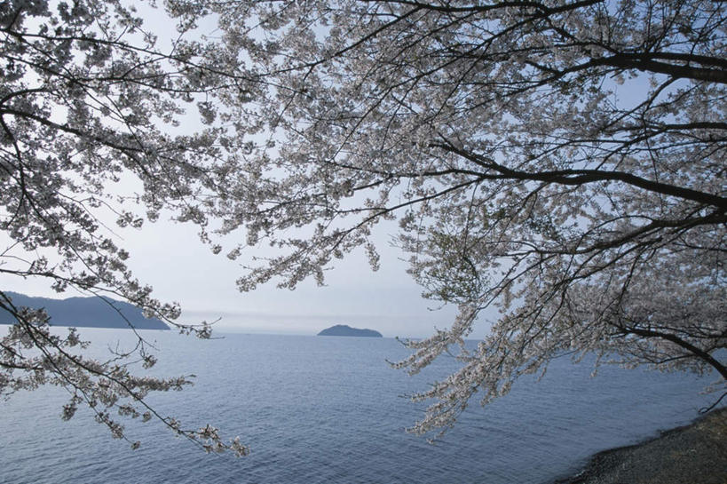 无人,横图,室外,白天,仰视,旅游,度假,岛屿,海浪,海洋,美景,山,山脉,树林,植物,日本,亚洲,许多,景观,浪花,山峰,山峦,娱乐,树,树木,蓝色,绿色,蓝天,天空,自然,海水,群山,天,享受,休闲,景色,放松,生长,晴朗,成长,自然风光,海景,东亚,本州,万里无云,本州岛,日本国,近畿地方,近畿,滋贺,滋贺县,大海,风浪,海,海水的波动,近岸浪,列岛,群岛,涌浪,诸岛,晴空,晴空万里,彩图,低角度拍摄