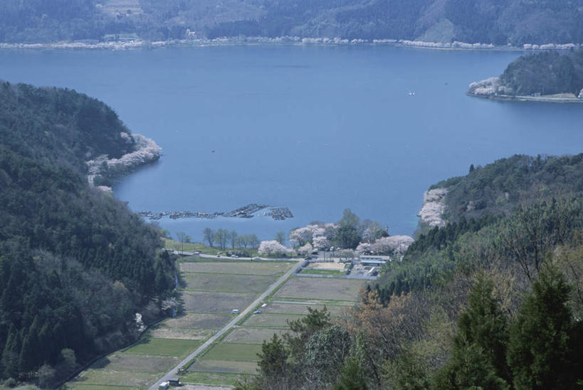 无人,农田,横图,俯视,航拍,室外,白天,旅游,度假,农业,庄稼,农作物,岛屿,海浪,海洋,美景,山,山脉,树林,植物,道路,路,公路,日本,亚洲,许多,稻田,景观,浪花,山峰,交通,山峦,娱乐,树,树木,蓝色,绿色,蓝天,天空,自然,海水,群山,天,享受,休闲,景色,放松,生长,晴朗,成长,鸟瞰,自然风光,海景,东亚,本州,万里无云,本州岛,日本国,近畿地方,近畿,滋贺,滋贺县,大海,风浪,海,海水的波动,近岸浪,列岛,群岛,涌浪,诸岛,晴空,晴空万里,马路,彩图,高角度拍摄,耕地,庄稼田