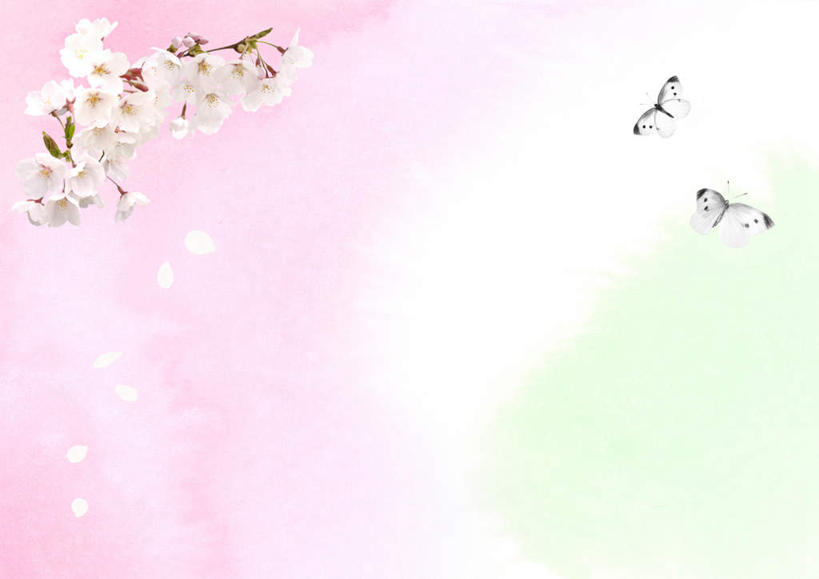 无人,横图,俯视,插画,室内,白天,数码,科技,植物,樱花,蝴蝶,许多,飞翔,阴影,粉色背景,盛开,飞行,网络,昆虫,线条,高光,几何,计算机图形,翱翔,合成,图像,图画,飞舞,画,花,花瓣,花朵,花卉,鲜花,白色,动物,花蕊,两只,电脑合成图,数码合成图,航行,飘动,漫画,益虫,写实,具体,具象,仙樱花,福岛樱,青肤樱,遨游,漫游,荆桃,彩图,高角度拍摄