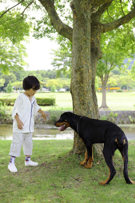 东方人,儿童,一个人,站,竖图,室外,白天,侧面,游戏,纯洁,河流,美景,树林,水,植物,宠物,狗,亚洲,仅一个男性,仅一个人,许多,阴影,服装,光线,影子,河水,景观,水流,玩,注视,休闲装,黄种人,娱乐,吐舌头,树,树木,一只,小孩,衣服,绿色,黑色,阳光,自然,动物,观察,看,伸舌头,站着,张嘴,仅一个小孩,休闲,休闲服,吐舌,景色,可爱,童年,童趣,服饰,生长,成长,观看,活动,察看,发泄,关注,消遣,智力,自然风光,张大嘴巴,童真,烂漫,无邪,忠诚,宣泄,天真,男孩,男人,男性,亚洲人,孩子,张开嘴,犬,玩耍,嬉戏,站立,彩图,全身,男生