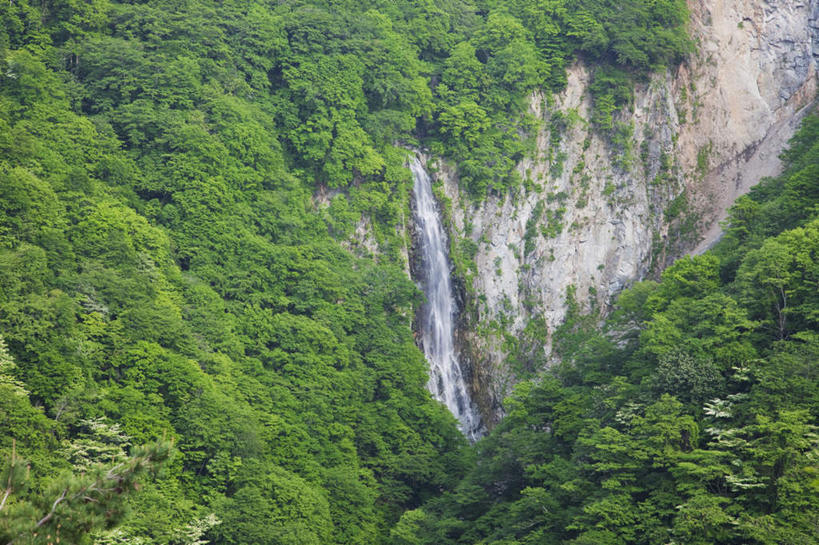 无人,横图,俯视,航拍,室外,白天,旅游,度假,美景,瀑布,山,树林,水,植物,长野县,日本,亚洲,许多,阴影,飞溅,溅,光线,液体,影子,景观,山峰,水滴,悬崖,山峦,娱乐,水珠,树,树木,绿色,阳光,自然,享受,休闲,景色,放松,生长,成长,鸟瞰,喷洒,自然风光,东亚,本州,本州岛,日本国,中部地方,长野,绝壁,跌水,彩图,高角度拍摄